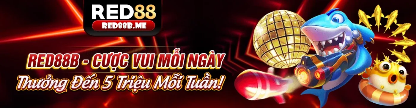 Hình ảnh chính blog 88nn bet, giới thiệu về nền tảng giải trí trực tuyến hàng đầu